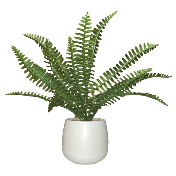 Artificial Potted Fern With Rainbow Design - Picture 2 of 5